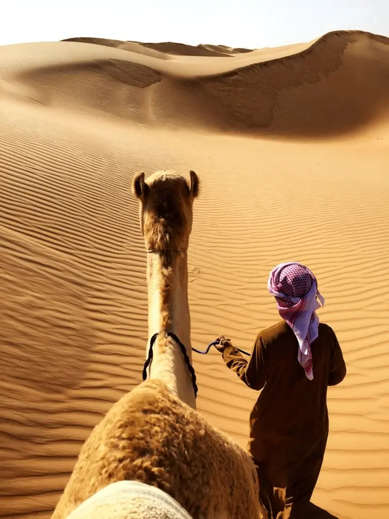Camel Ride